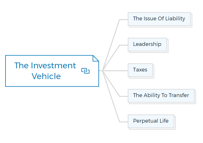 The-Investment-Vehicle
